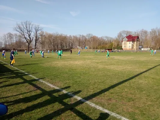 30.03.2019 TSV Mosigkau vs. SV Grün-Weiß Wörlitz