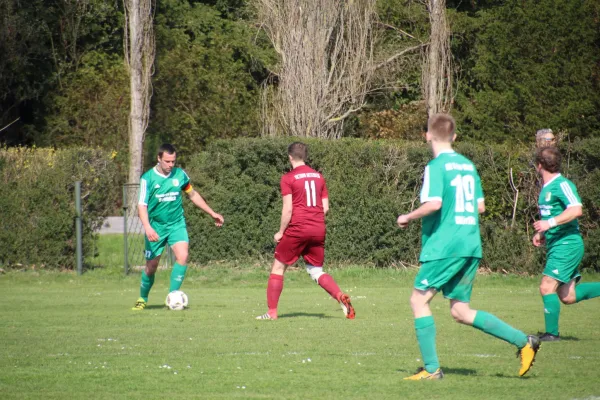 06.04.2019 SV Grün-Weiß Wörlitz vs. Victoria Wittenberg