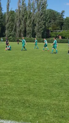 08.06.2019 SV Grün-Weiß Wörlitz vs. SV Glückauf Möhlau