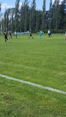 08.06.2019 SV Grün-Weiß Wörlitz vs. SV Glückauf Möhlau