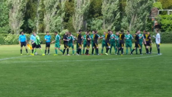 08.06.2019 SV Grün-Weiß Wörlitz vs. SV Glückauf Möhlau