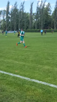 08.06.2019 SV Grün-Weiß Wörlitz vs. SV Glückauf Möhlau