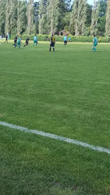 08.06.2019 SV Grün-Weiß Wörlitz vs. SV Glückauf Möhlau