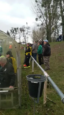 20.03.2016 Abus Dessau II vs. SV Grün-Weiß Wörlitz