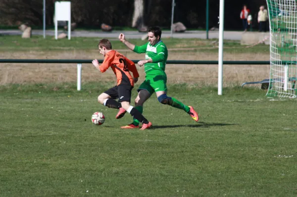 02.04.2016 SV Grün-Weiß Wörlitz vs. SV Mildensee II