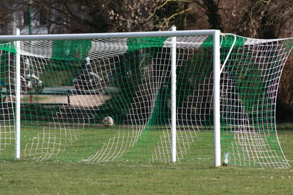 02.04.2016 SV Grün-Weiß Wörlitz vs. SV Mildensee II