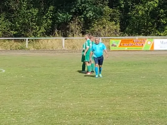 11.08.2018 SV Chemie Rodleben vs. SV Grün-Weiß Wörlitz