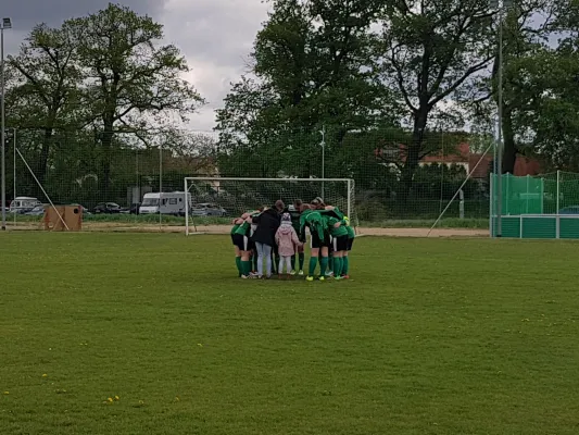 28.04.2019 SV Grün-Weiß Wörlitz vs. Zschornewitz