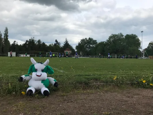 28.04.2019 SV Grün-Weiß Wörlitz vs. Zschornewitz