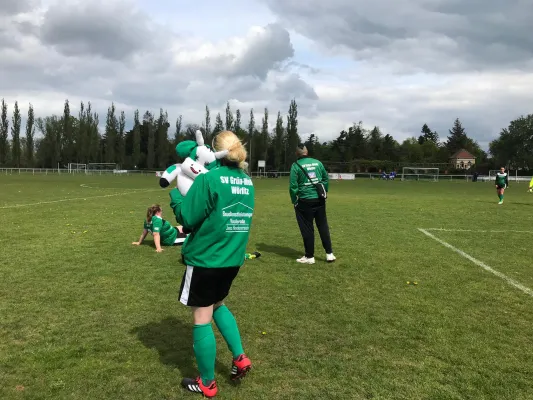 28.04.2019 SV Grün-Weiß Wörlitz vs. Zschornewitz