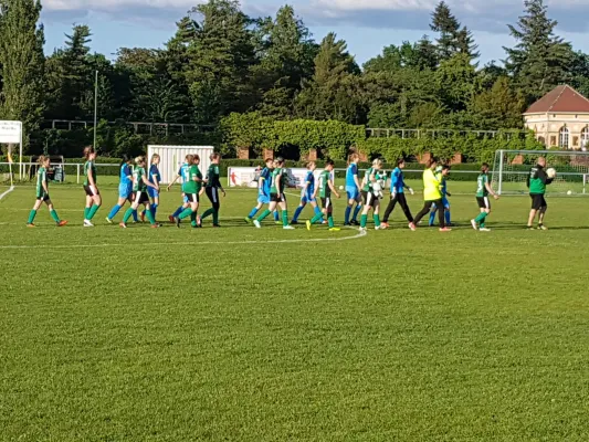 29.05.2019 SV Grün-Weiß Wörlitz vs. SG Abus Dessau