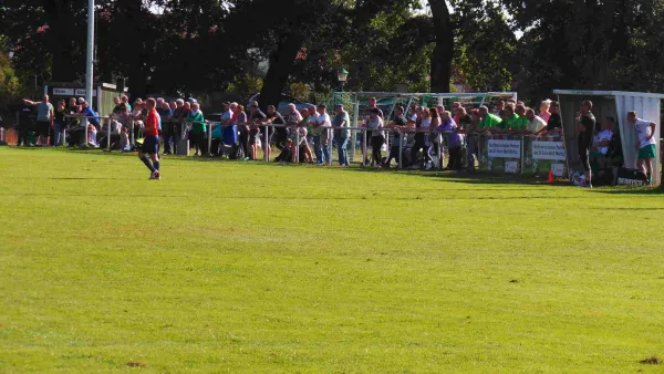 22.09.2019 SV Grün-Weiß Wörlitz vs. SV Blau-Rot Coswig