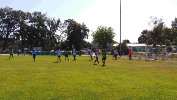 22.09.2019 SV Grün-Weiß Wörlitz vs. Traktor Sandersleben