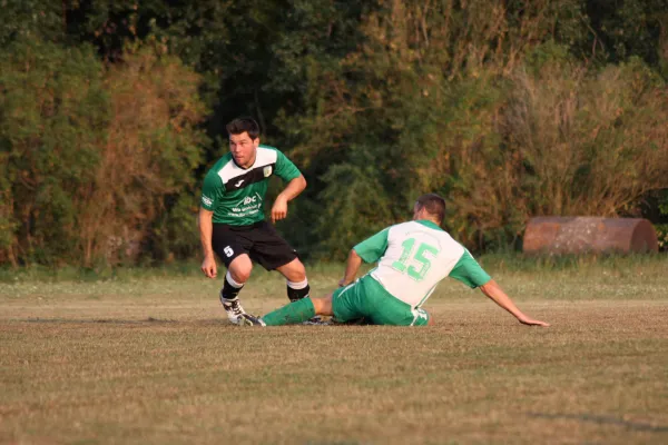 13.08.2015 SV Grün-Weiß Wörlitz vs. Grün Weiß Dessau