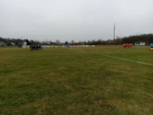 25.01.2020 BW Quellendorf vs. SV Grün-Weiß Wörlitz