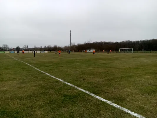 25.01.2020 BW Quellendorf vs. SV Grün-Weiß Wörlitz