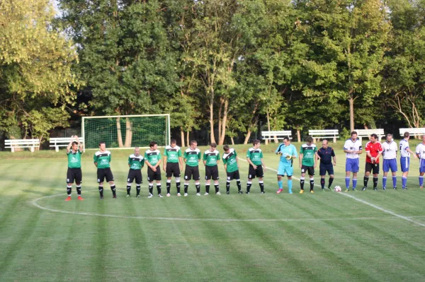 20.08.2015 SV Mildensee vs. SV Grün-Weiß Wörlitz