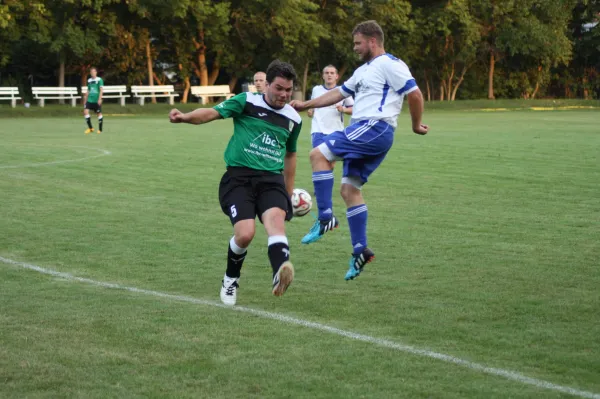 20.08.2015 SV Mildensee vs. SV Grün-Weiß Wörlitz