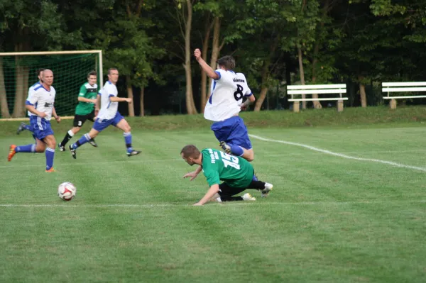 20.08.2015 SV Mildensee vs. SV Grün-Weiß Wörlitz