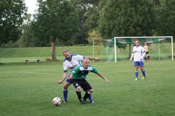 20.08.2015 SV Mildensee vs. SV Grün-Weiß Wörlitz