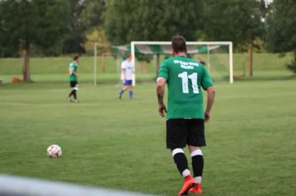 20.08.2015 SV Mildensee vs. SV Grün-Weiß Wörlitz