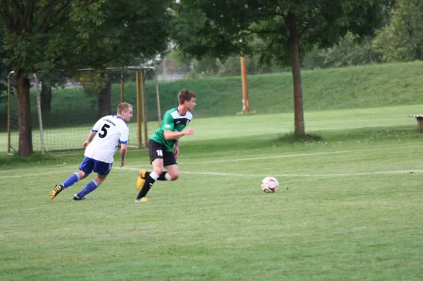 20.08.2015 SV Mildensee vs. SV Grün-Weiß Wörlitz