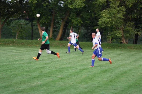 20.08.2015 SV Mildensee vs. SV Grün-Weiß Wörlitz