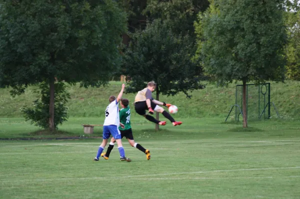 20.08.2015 SV Mildensee vs. SV Grün-Weiß Wörlitz