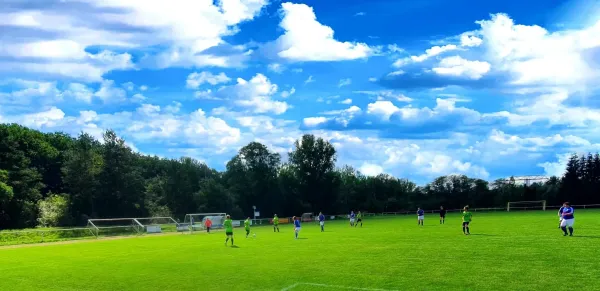 06.09.2020 Zschornewitz vs. SV Grün-Weiß Wörlitz