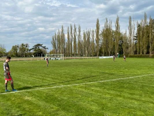 24.04.2022 SV Grün-Weiß Wörlitz vs. SV Glückauf Möhlau