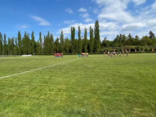 08.05.2022 SV Grün-Weiß Wörlitz vs. SV Blau-Rot Coswig