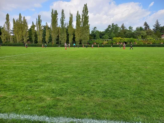 11.09.2022 SV Grün-Weiß Wörlitz vs. Hellas 09