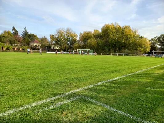 29.10.2022 SV Grün-Weiß Wörlitz vs. SG Nudersdorf