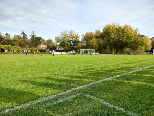 29.10.2022 SV Grün-Weiß Wörlitz vs. SG Nudersdorf