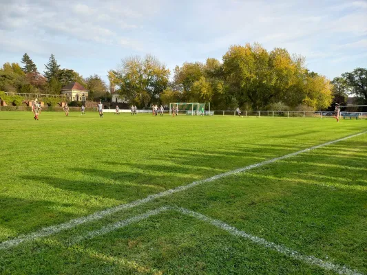 29.10.2022 SV Grün-Weiß Wörlitz vs. SG Nudersdorf