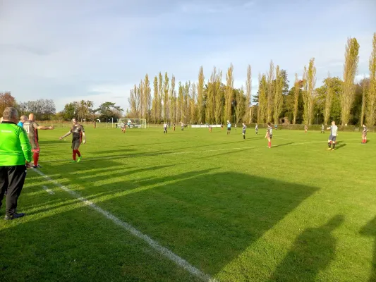 29.10.2022 SV Grün-Weiß Wörlitz vs. SG Nudersdorf