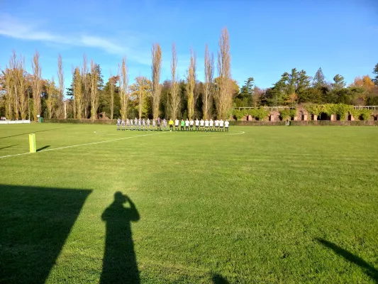 13.11.2022 SV Grün-Weiß Wörlitz vs. Allemannia Jessen II