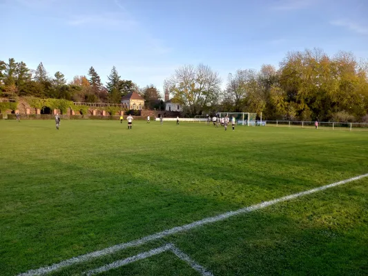 13.11.2022 SV Grün-Weiß Wörlitz vs. Allemannia Jessen II