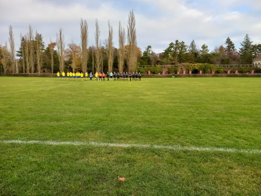 26.11.2022 SV Grün-Weiß Wörlitz vs. SV GW Annaburg II