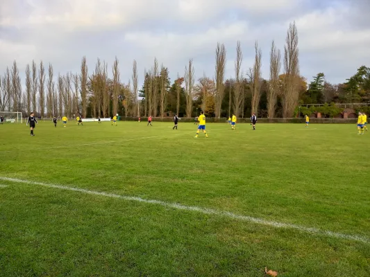 26.11.2022 SV Grün-Weiß Wörlitz vs. SV GW Annaburg II