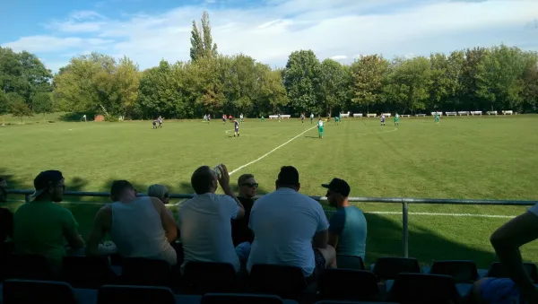 13.08.2016 SV Mildensee vs. SV Grün-Weiß Wörlitz