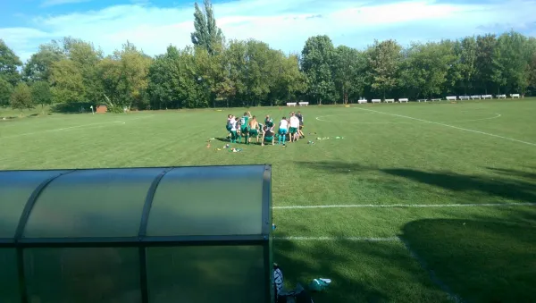 13.08.2016 SV Mildensee vs. SV Grün-Weiß Wörlitz