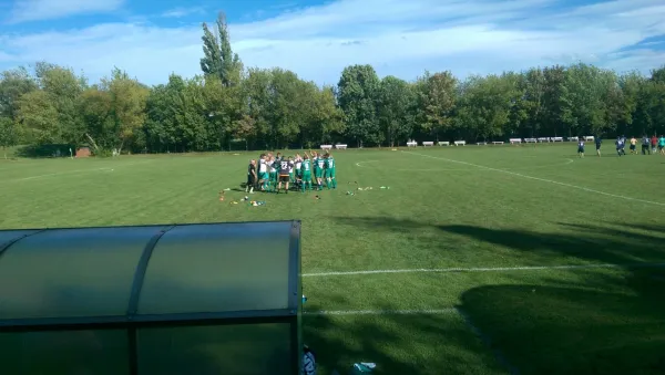 13.08.2016 SV Mildensee vs. SV Grün-Weiß Wörlitz