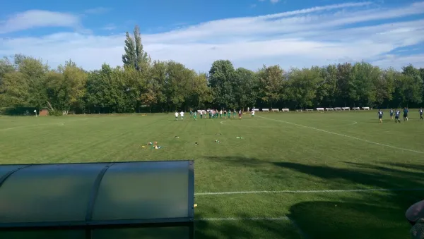 13.08.2016 SV Mildensee vs. SV Grün-Weiß Wörlitz