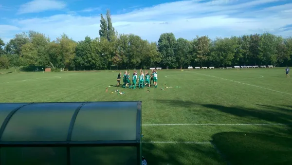 13.08.2016 SV Mildensee vs. SV Grün-Weiß Wörlitz