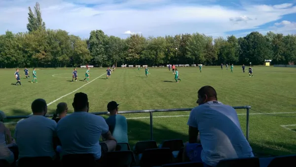 13.08.2016 SV Mildensee vs. SV Grün-Weiß Wörlitz