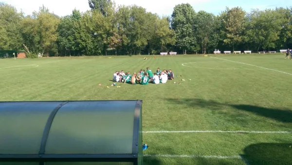 13.08.2016 SV Mildensee vs. SV Grün-Weiß Wörlitz