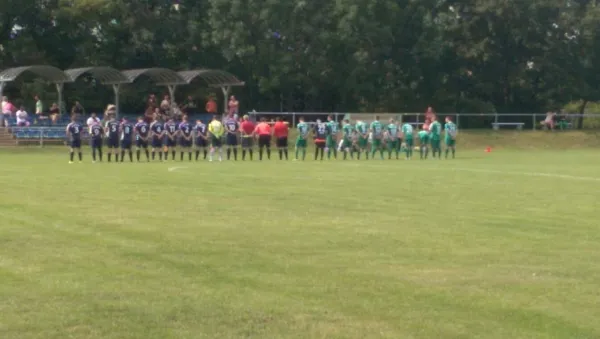 13.08.2016 SV Mildensee vs. SV Grün-Weiß Wörlitz
