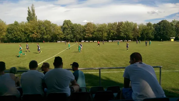 13.08.2016 SV Mildensee vs. SV Grün-Weiß Wörlitz