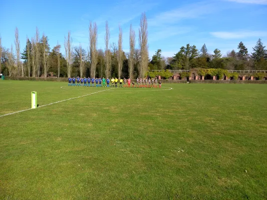 18.03.2023 SV Grün-Weiß Wörlitz vs. Klödener SV